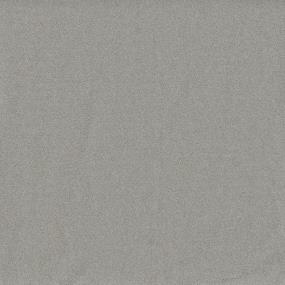 Textured Saxony Furrowed Gray Carpet