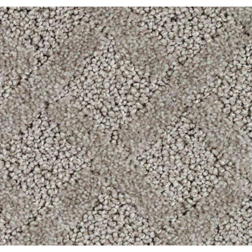 Pattern Mojave Beige/Tan Carpet