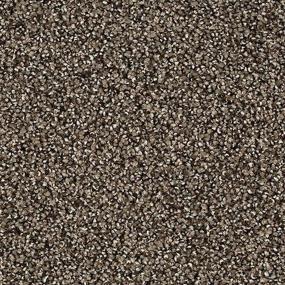 Textured Saxony Stormwatch Brown Carpet
