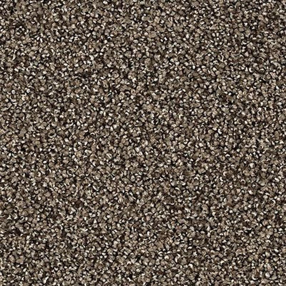 Textured Saxony Stormwatch Brown Carpet