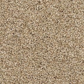 Textured Saxony Fowler Beige/Tan Carpet