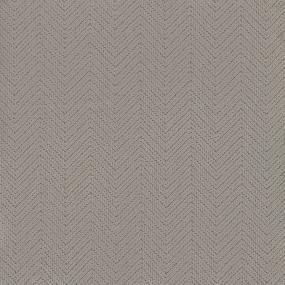 Pattern Organic Warmth Gray Carpet