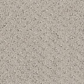 Pattern Cold Canyon Beige/Tan Carpet