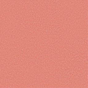 Texture Sherbet Pink Carpet