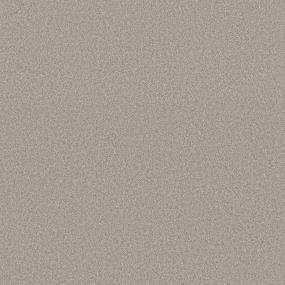 Cut Pile GREAT GREIGE Gray Carpet