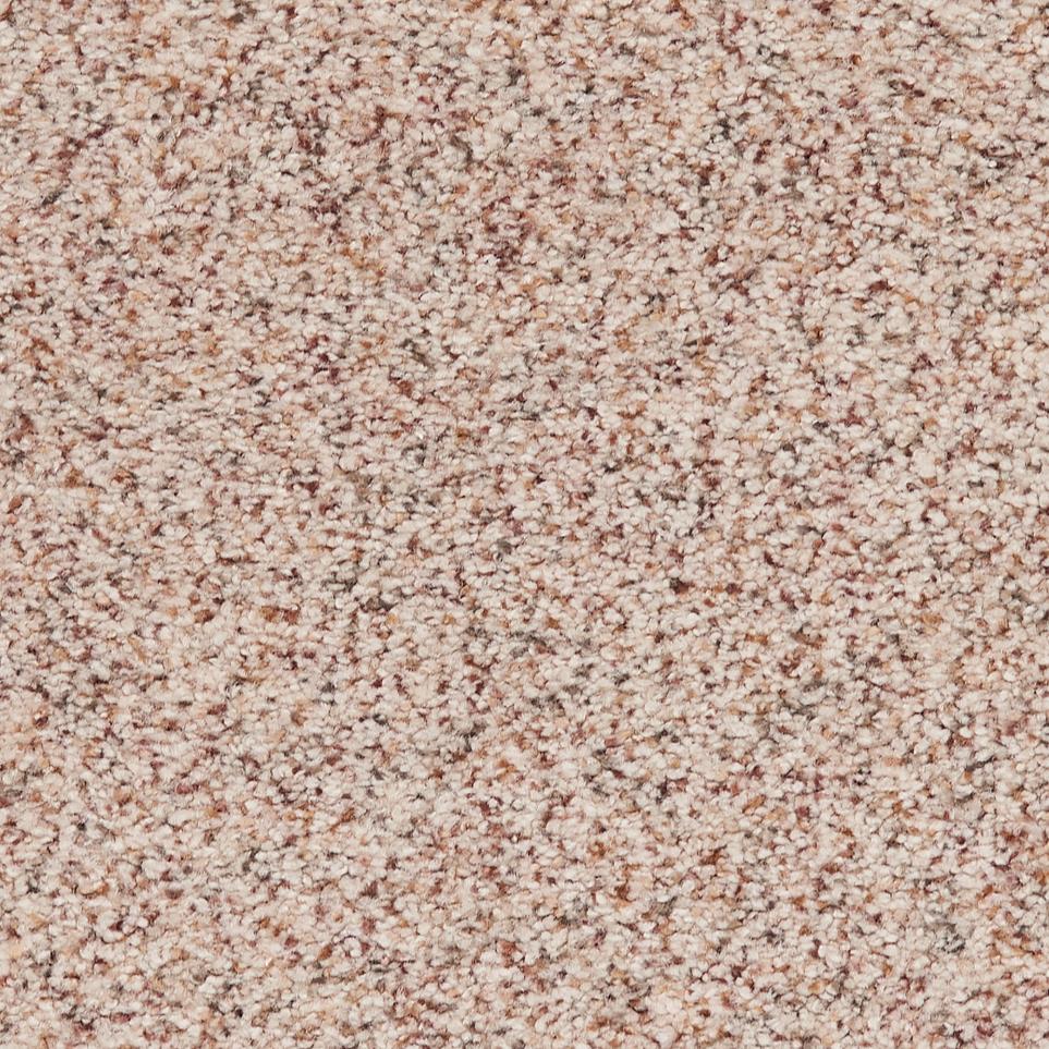 Texture Turtle Dove  Carpet