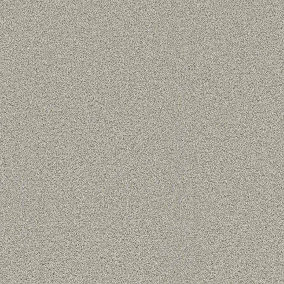 Cut Pile Engaging Beige/Tan Carpet