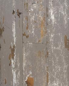 Plank Weathered Frosty Taupe Gray Finish Hardwood