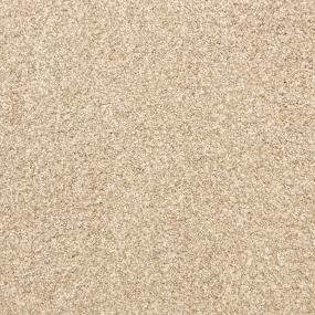 Textured Saxony Almond Beige/Tan Carpet