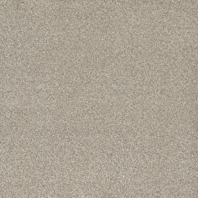 Textured Saxony Birch Gray Carpet
