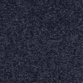 Casual Texture Varsity Blue Carpet
