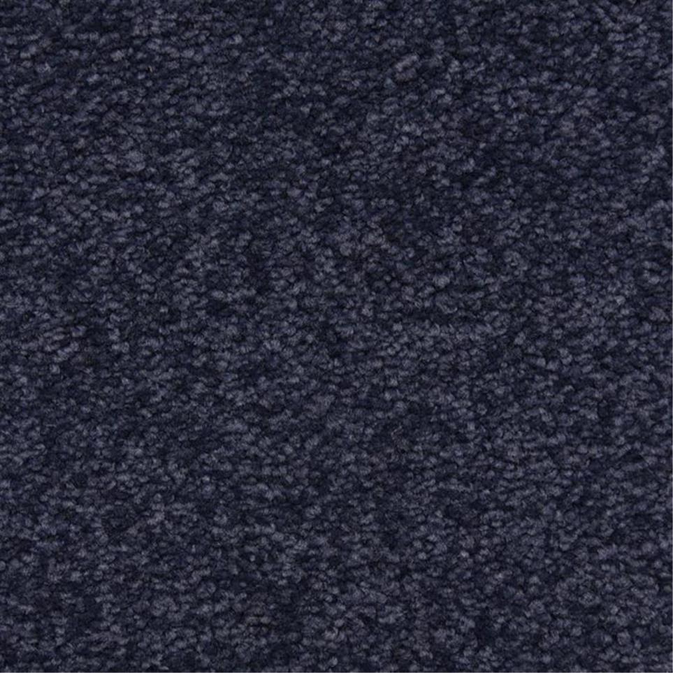 Casual Texture Varsity Blue Carpet
