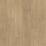 Stallion Hickory