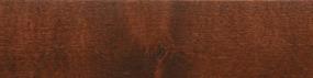 Ginger Snap