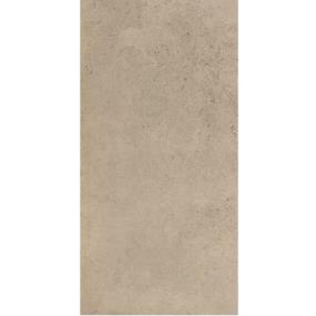 Tile Canyon Taupe Light Polished Beige/Tan Tile