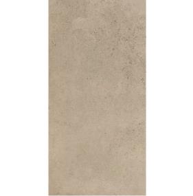 Tile Canyon Taupe Light Polished Beige/Tan Tile