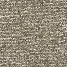 Loop Flair Beige/Tan Carpet