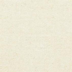 Loop Forte Beige/Tan Carpet