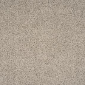 Textured Saxony Sand Motif Beige/Tan Carpet