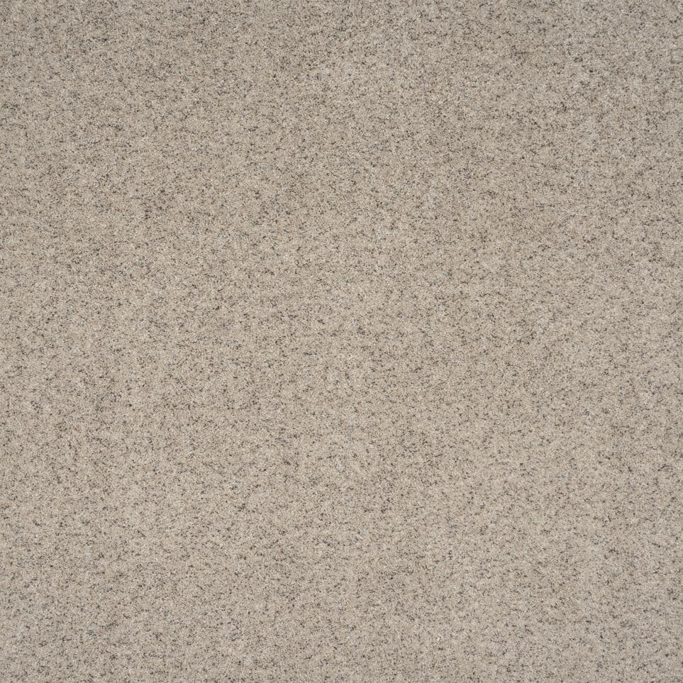 Texture Rock Shell  Carpet
