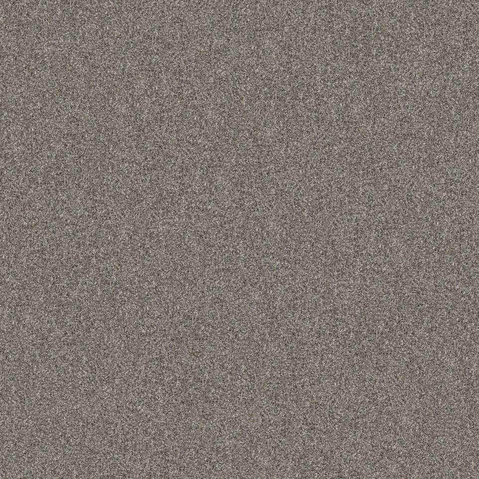 Casual Texture Etched Silver Beige/Tan Carpet