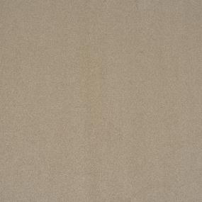 Textured Saxony Suede Beige/Tan Carpet