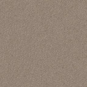 Texture Vapor Brown Carpet