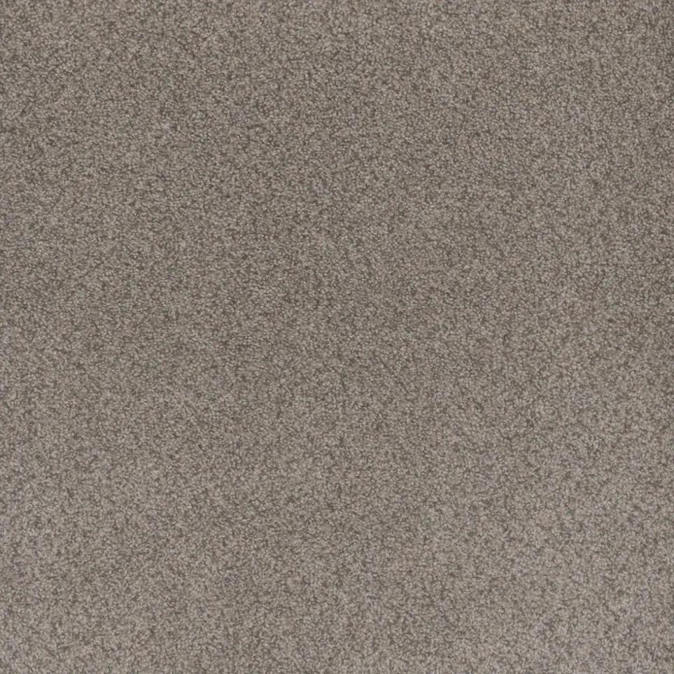 Cut Pile Thoughtful Memories Brown Carpet