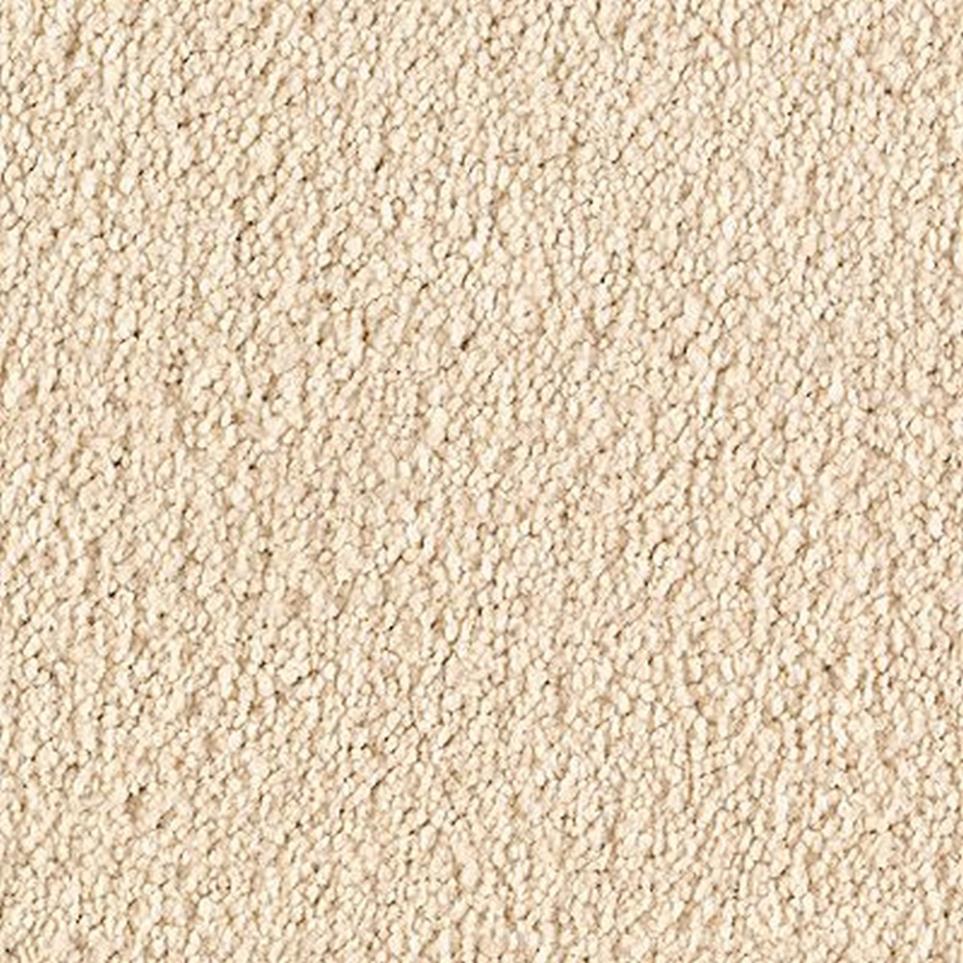 Textured Saxony Designer Beige/Tan Carpet
