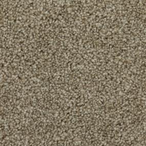 Pattern Soft Whisper Beige/Tan Carpet