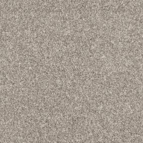 Casual Texture Neutral Ground Beige/Tan Carpet