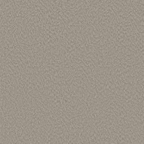 Pattern Fossil Beige/Tan Carpet