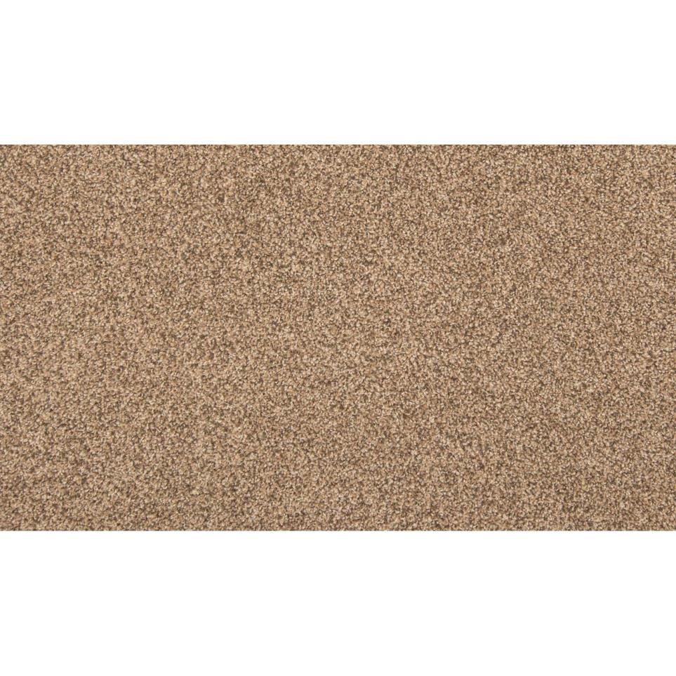 Textured Saxony Everything Beige/Tan Carpet