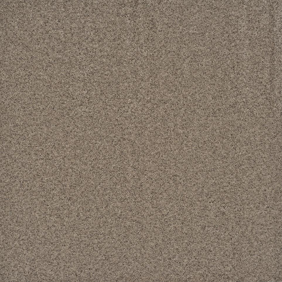 Texture Hickory Hill Beige/Tan Carpet