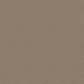 Textured Saxony Highland Trail Beige/Tan Carpet