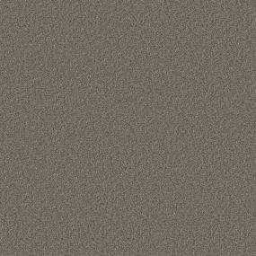 Textured Saxony Faculty Brown Carpet