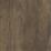 Brushwood Umber