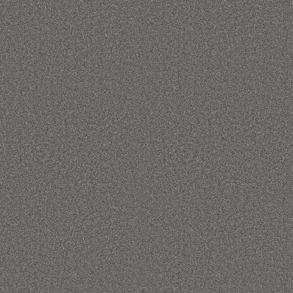 Texture Armour Blue Carpet