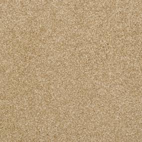 Casual Texture Rawhide Brown Carpet