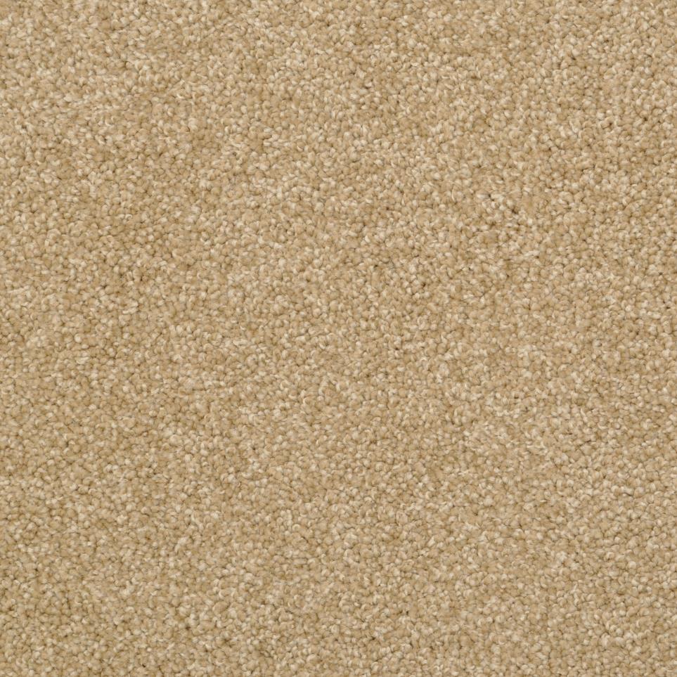 Casual Texture Rawhide Brown Carpet