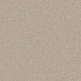 Cut Pile Dunes Beige/Tan Carpet