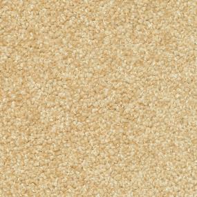 Casual Texture Basketry Beige/Tan Carpet