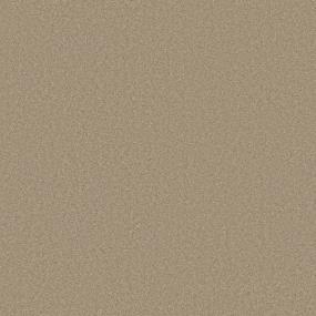 Textured Saxony Balsa Bark Brown Carpet
