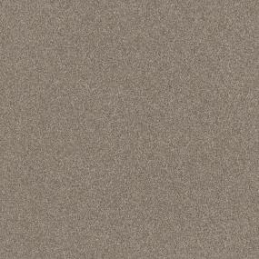 Textured Saxony Barista Beige/Tan Carpet