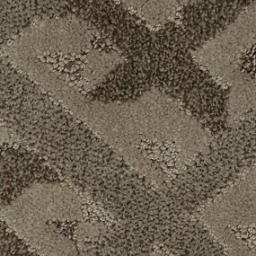 Pattern Iced Mocha Brown Carpet