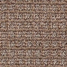 Pattern Tavern Brown Carpet