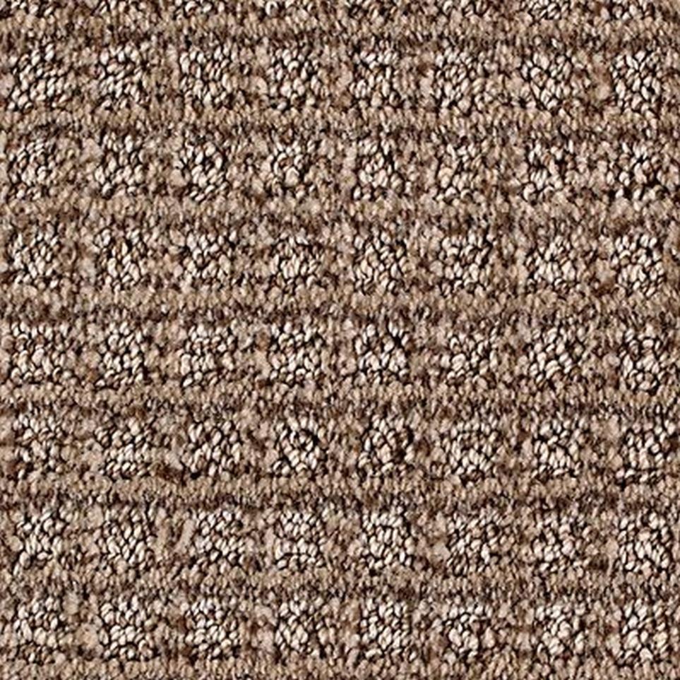Pattern Tavern Brown Carpet