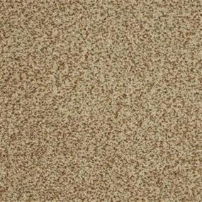 Textured Saxony Festival Brown Carpet