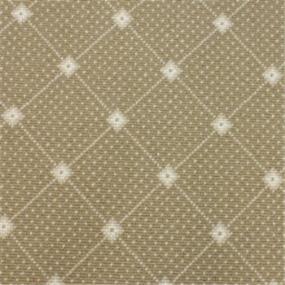 Pattern Driftwood Beige/Tan Carpet