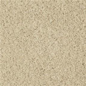 Frieze Pebble Stone Beige/Tan Carpet